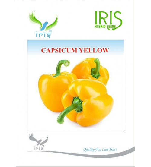 Iris Imported Yellow Capsicum 10 grams